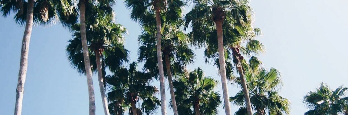 ayeeitscorrupt's profile banner image