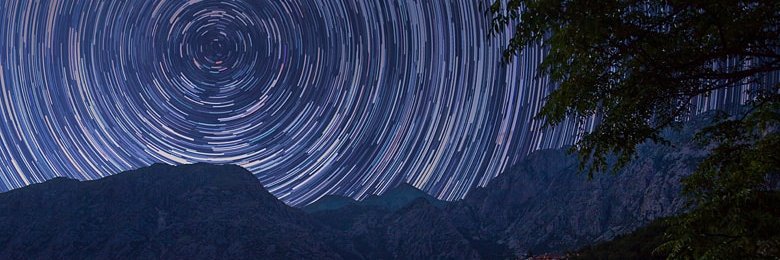 Linalool Enjoyer, Eliade Weismann banner