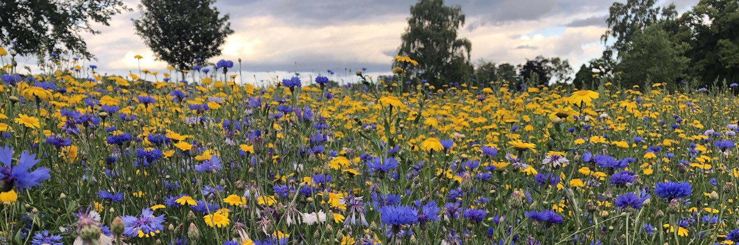 Evalambertsmith's profile banner image