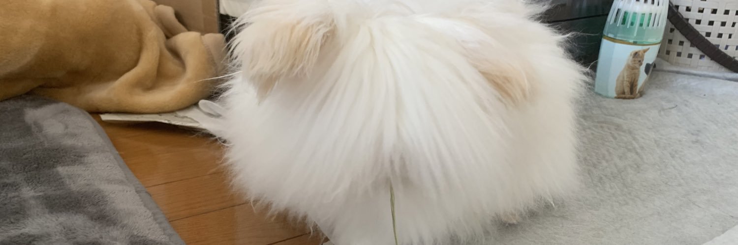 のく banner