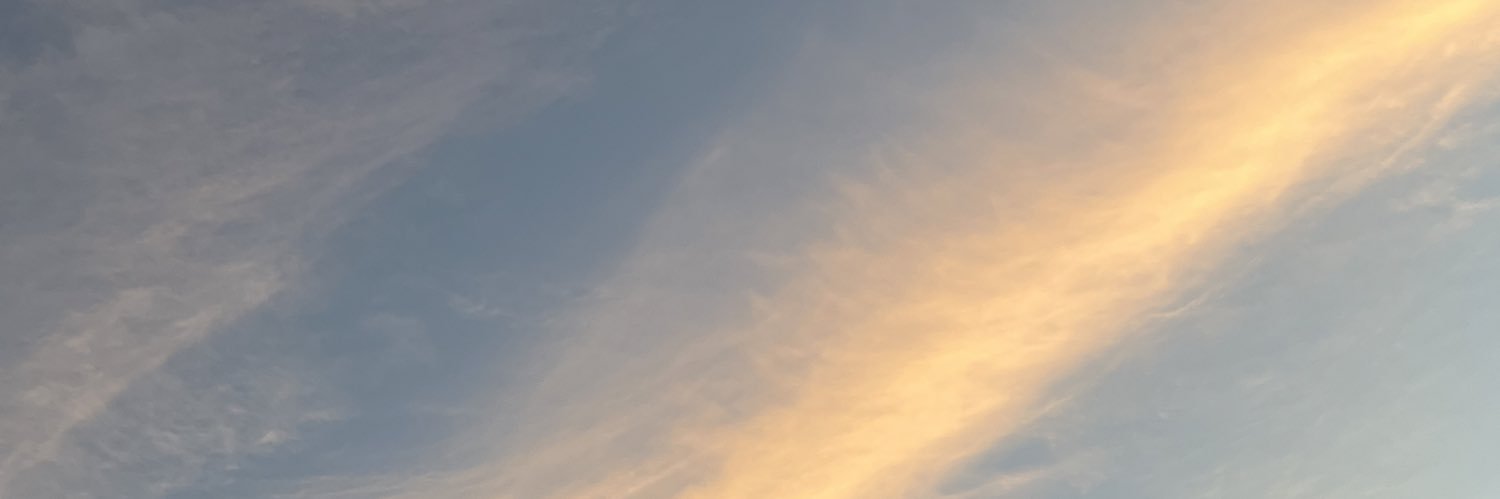 sarvhdlt's profile banner image