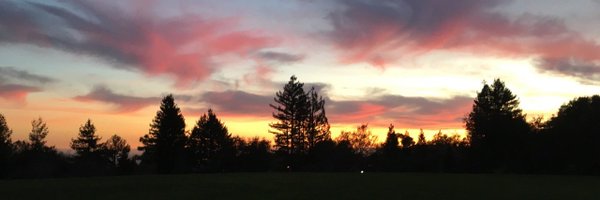 MobinAsri Profile Banner