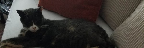 METALCHATPOD Profile Banner