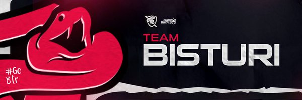 TEAM_BISTURI_GG Profile Banner
