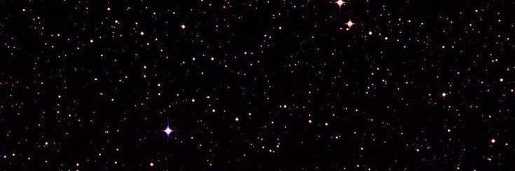 maria carrasco banner