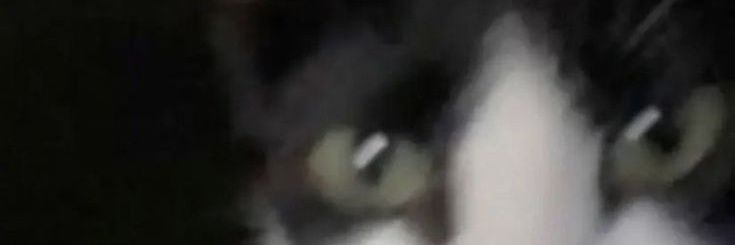 AndresOMG3's profile banner image