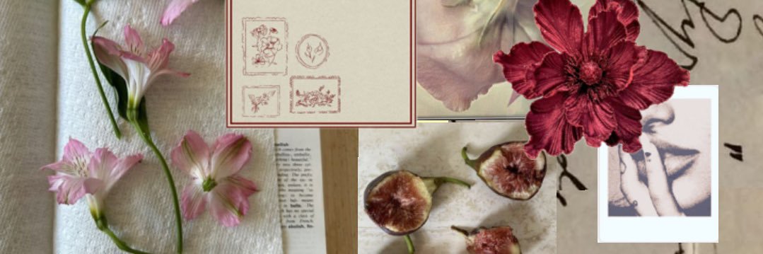 ʚɞ ⁺˖ cipa banner