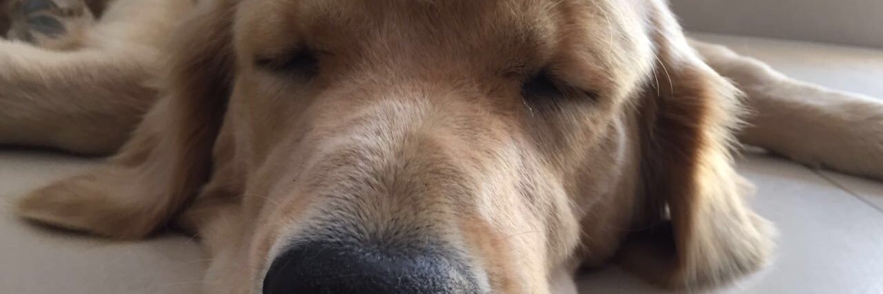 maría ♥ banner
