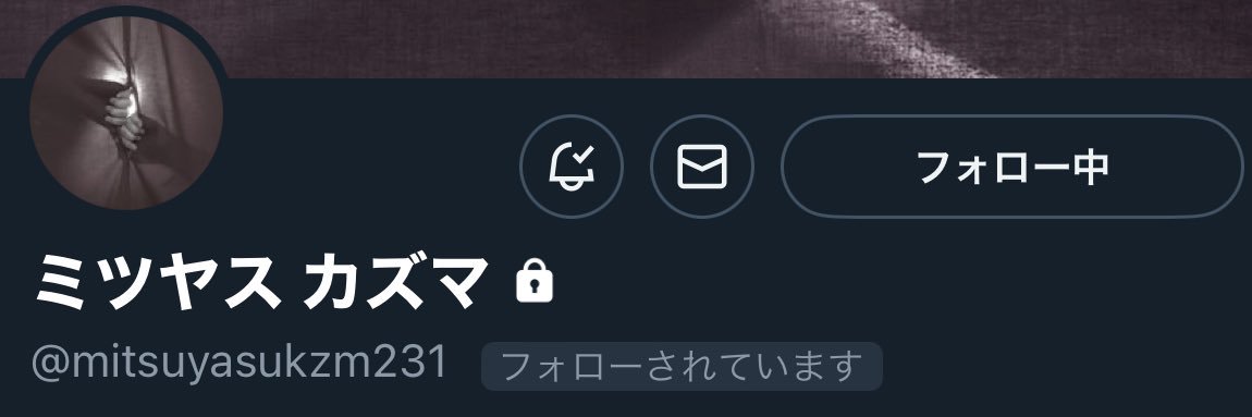 しお@半泣き黒猫団(平熱) banner