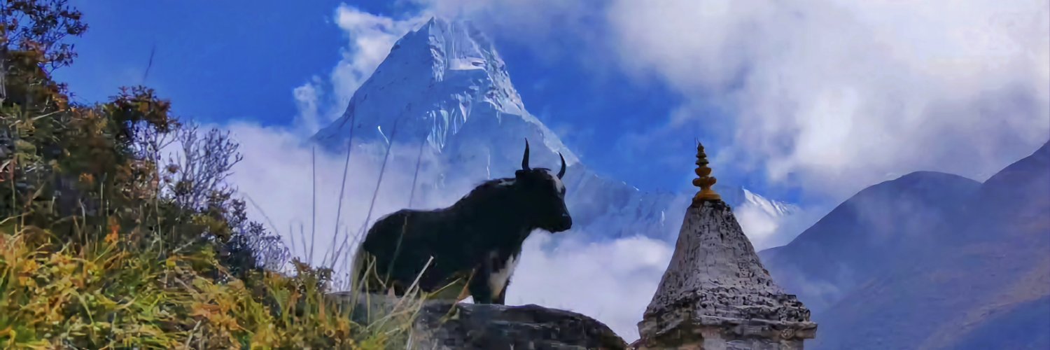 in2Nepal's profile banner image