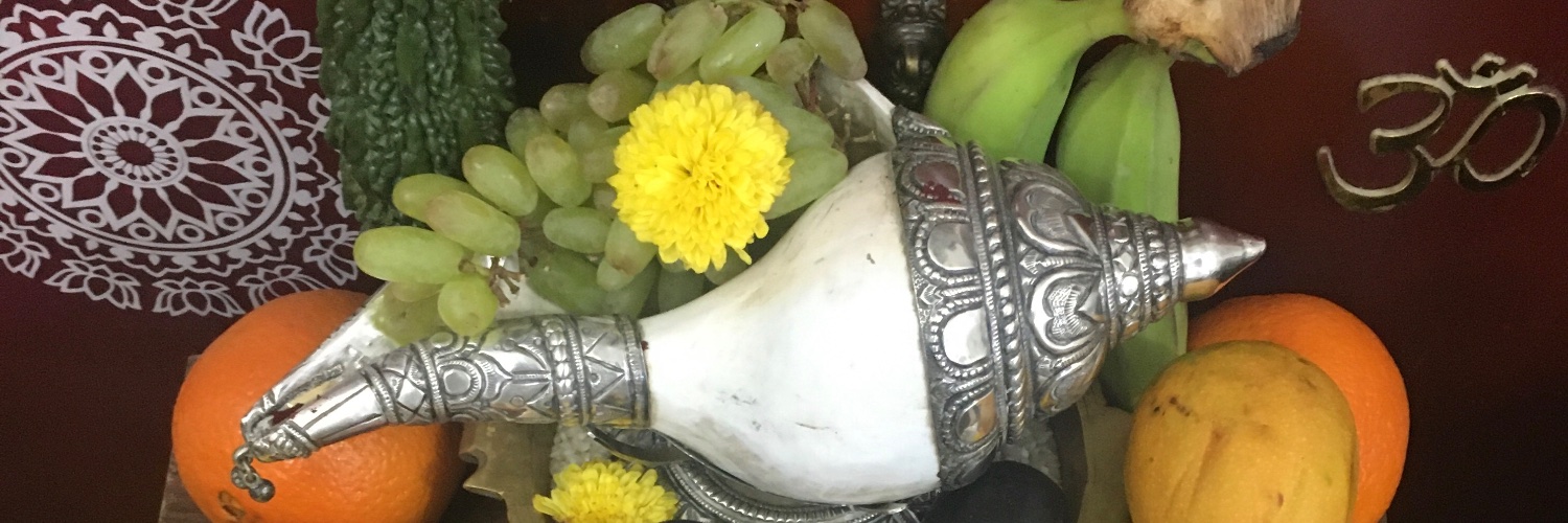 Rajan Venkateswaran🎻🎻🎻🎻🎻 banner