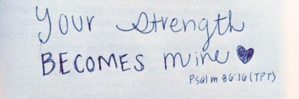 sara_doerr's profile banner image