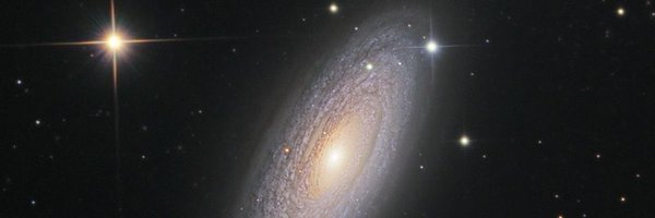 Liloleeta Profile Banner