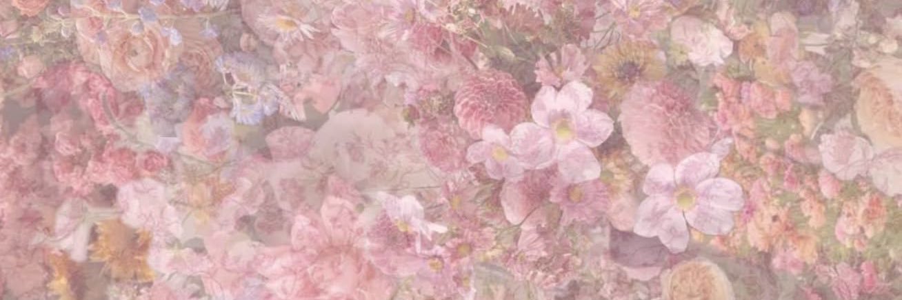𓆩♡𓆪 banner