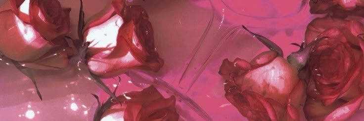 silenceiw's profile banner image