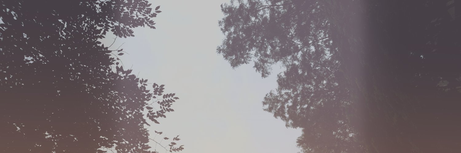 Mujerilepmi's profile banner image