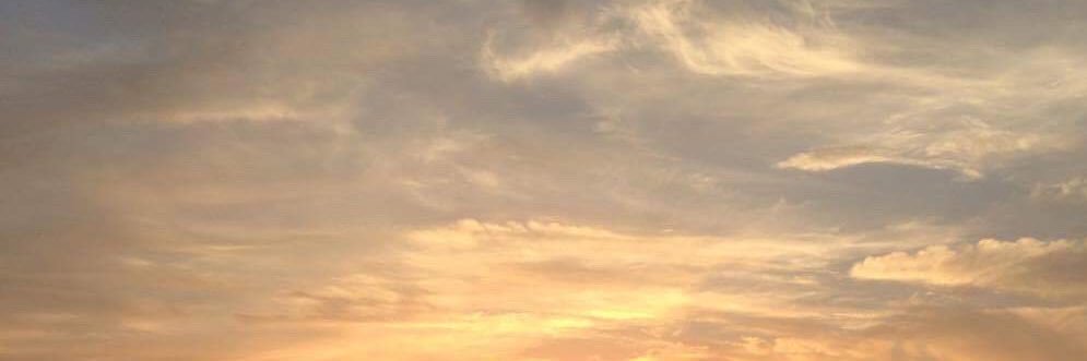 xmpurz's profile banner image