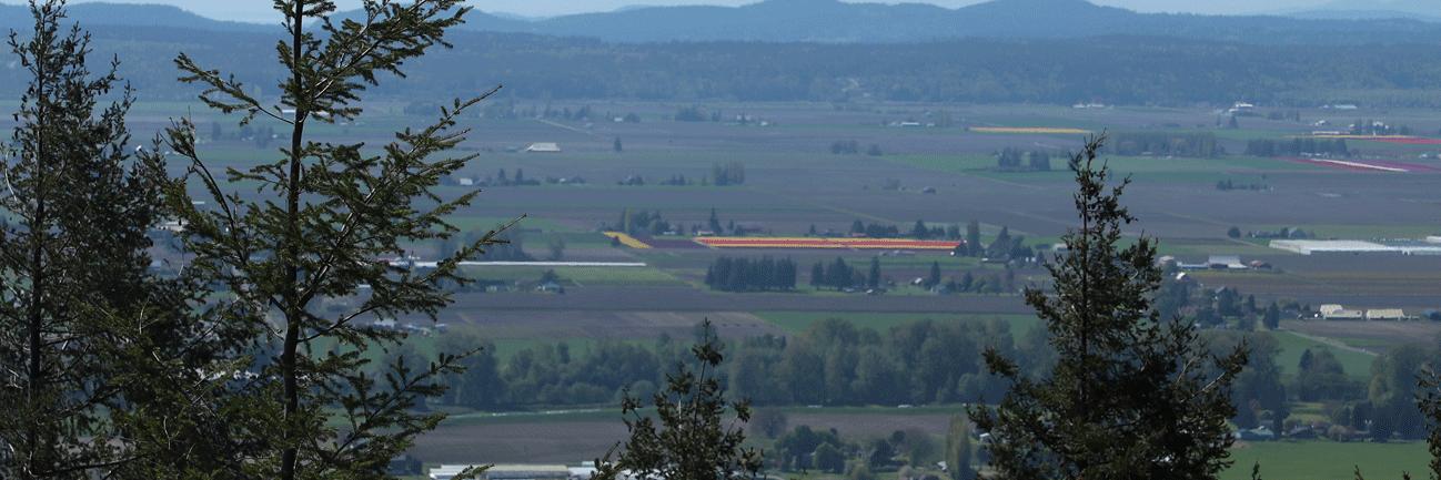 Emma Fletcher-Frazer banner