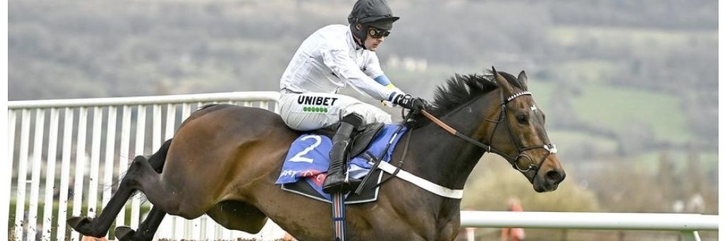 Gareth Matthews banner