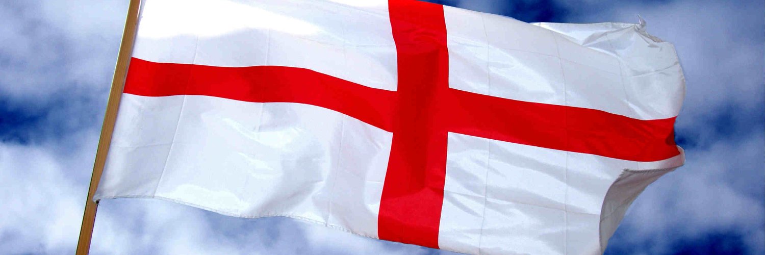 BrexitDuck's banner