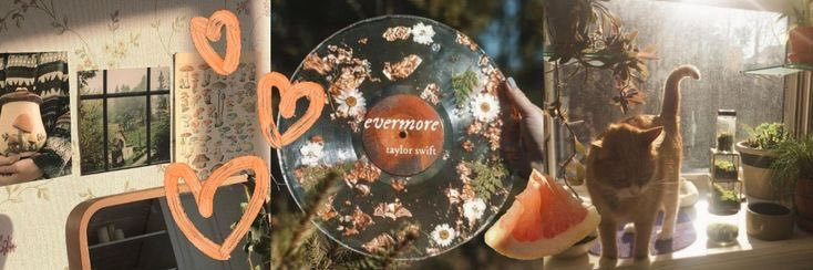 celz ia ⋆𐙚₊ banner