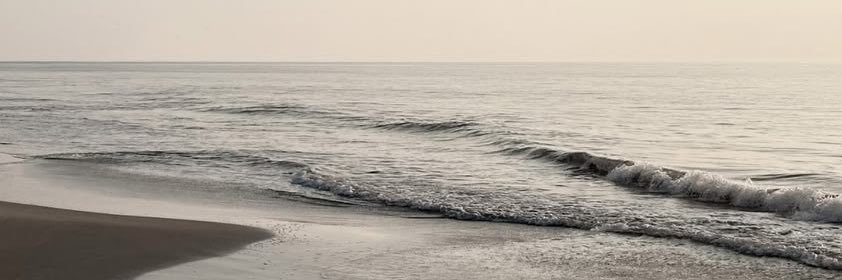 Xing banner