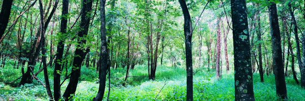 KaGabler Profile Banner