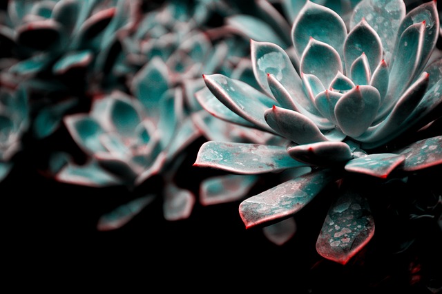 Yuichan_FX's profile banner image