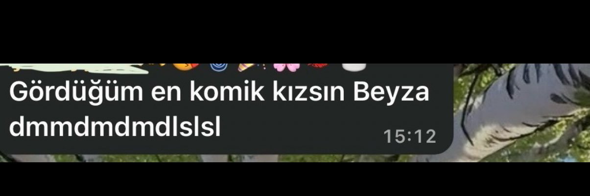 beyzakaplan0's profile banner image