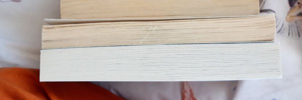 kris10_reads Profile Banner