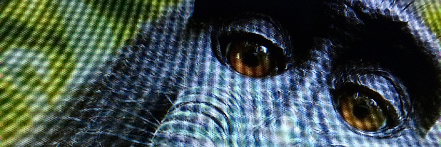 bigfaelo's profile banner image