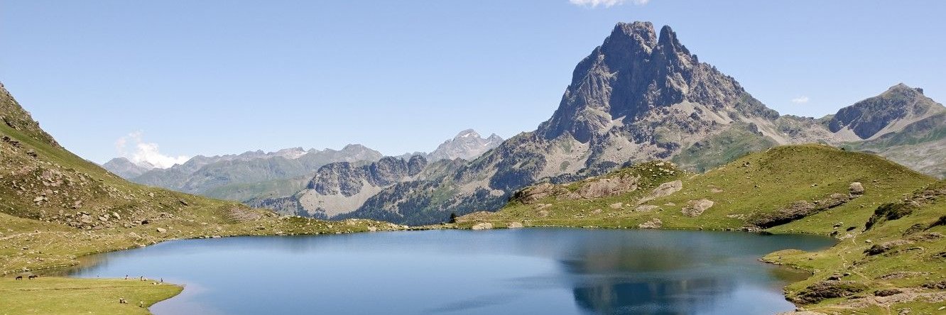 If it moves I'll trade it banner