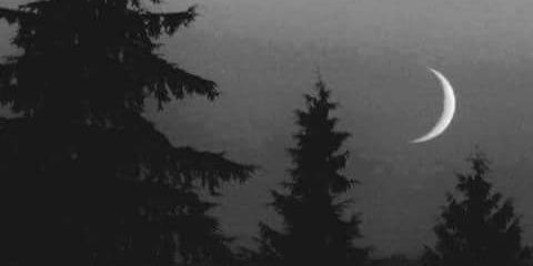 linamor69's profile banner image