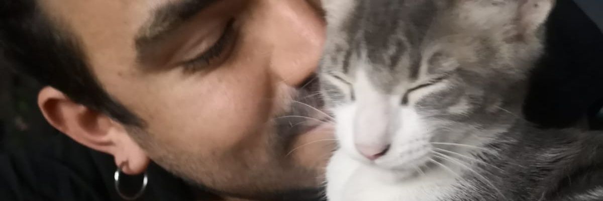 Nico. GVC banner