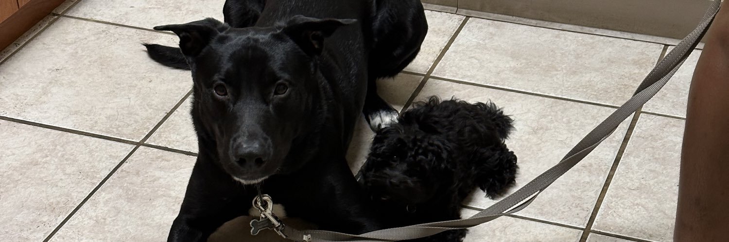 Ashanti Smith banner