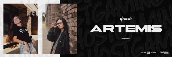 ArtemisFrostt Profile Banner