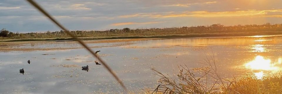 SOhelpMeGod_1's profile banner image