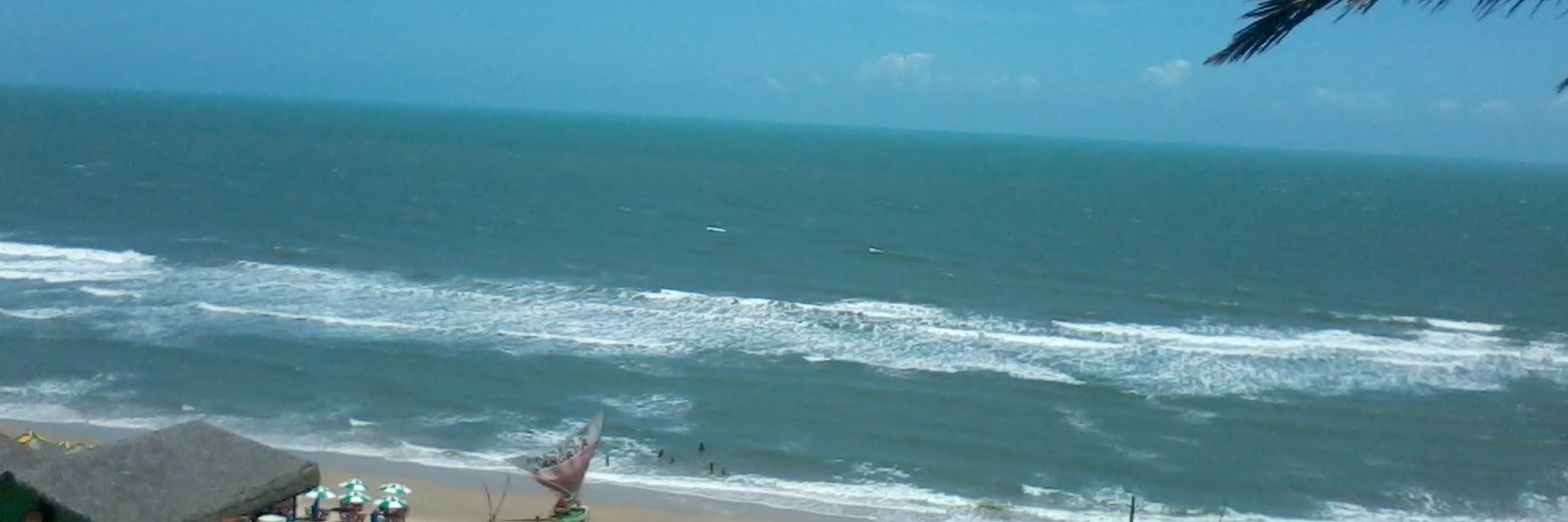 ccarolmadeira's profile banner image