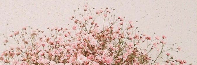 melimelilopez's profile banner image
