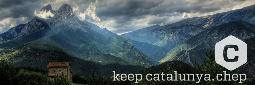 chepcat's profile banner image