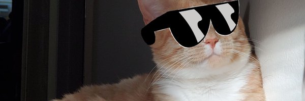 TormundTheTiny Profile Banner