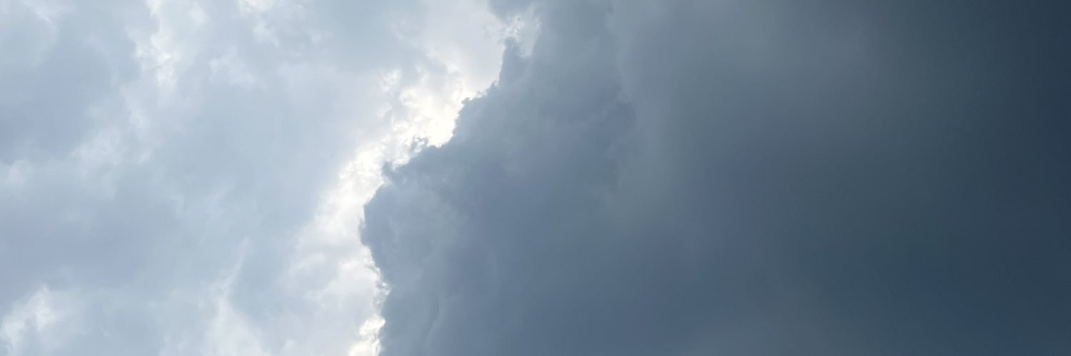 rottenjul's profile banner image