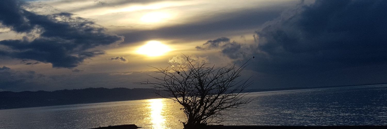 Neycan81's profile banner image