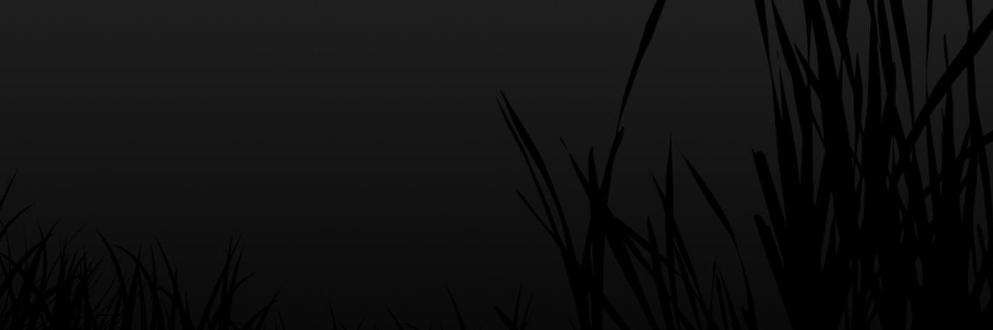 magdy__a's profile banner image