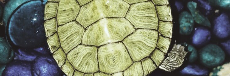 joe_cabrera's profile banner image