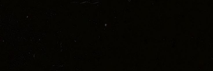 raden rion banner
