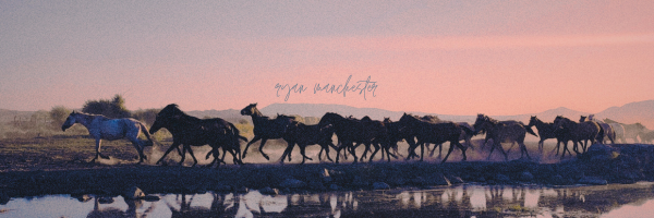 ryanmanchstr's profile banner image