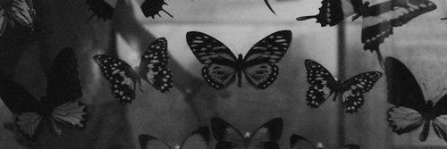 DLheidymae's profile banner image