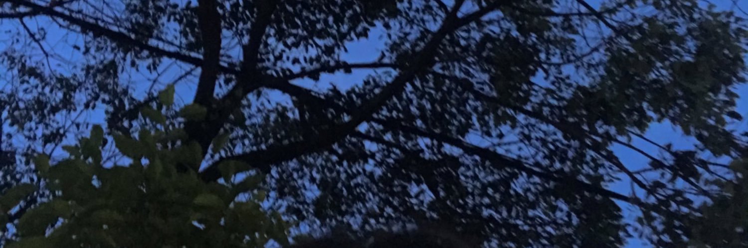 🕊 banner