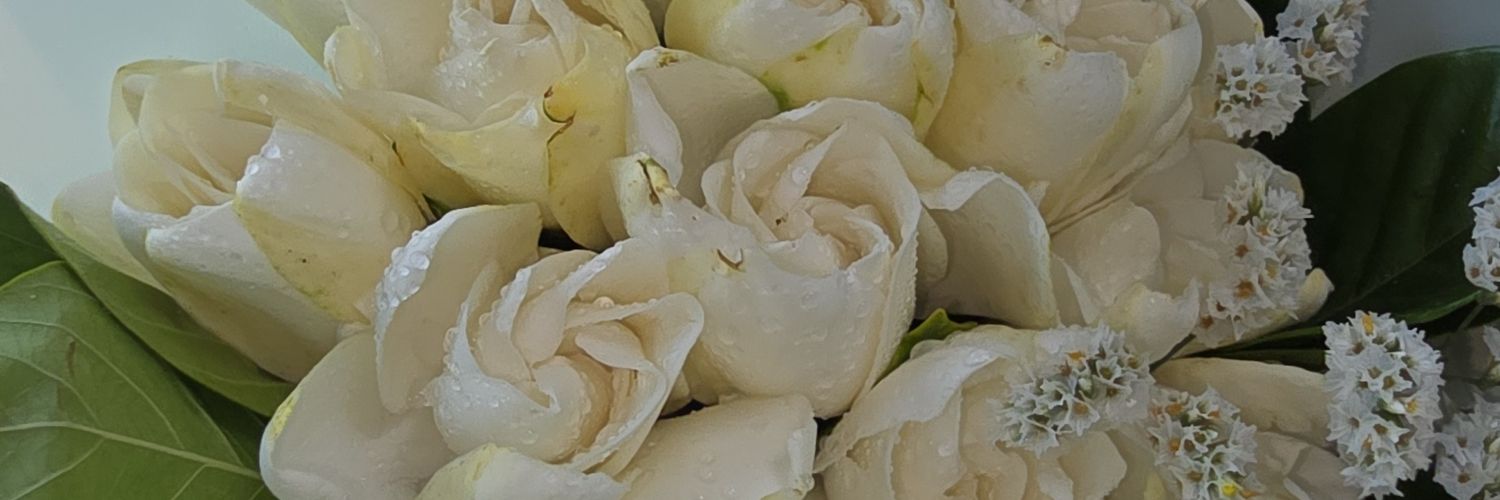 Maby18's profile banner image